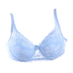 Ladies Bra